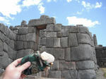 DSCF6567.jpg