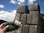 DSCF6571.jpg