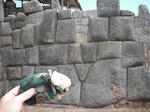 DSCF6579.jpg