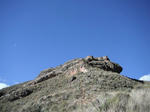 DSCF6742.jpg