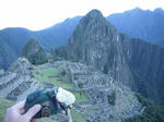 DSCF6772.jpg