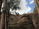 DSCF7021.jpg