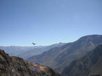 DSCF7163.jpg