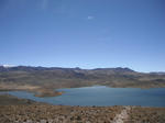 DSCF7186.jpg
