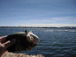 DSCF7210.jpg