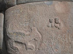 DSCF7260.jpg