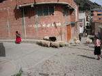 DSCF7293.jpg