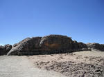 DSCF7331.jpg