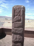 DSCF7406.jpg