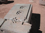DSCF7452.jpg
