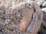 DSCF9016.jpg