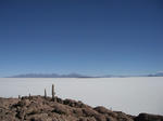 DSCF9029.jpg