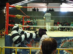 DSCF9146.jpg