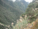 DSCF9256.jpg