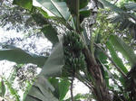 DSCF9269.jpg