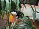 DSCF9317.jpg
