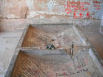 DSCF9351.jpg