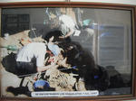 DSCF9375.jpg