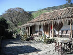 DSCF9438.jpg