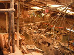 DSCF9529.jpg