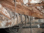 DSCF9538.jpg