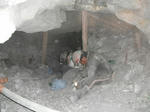 DSCF9550.jpg