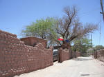 DSCF9943.jpg