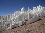 DSCF0008.jpg