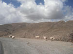 DSCF0140.jpg