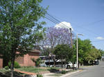 DSCF0243.jpg