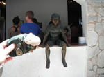 DSCF0240.jpg