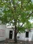 DSCF0234.jpg