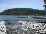 DSCF0393.jpg