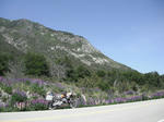 DSCF0436.jpg