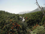 DSCF0441.jpg