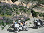 DSCF0448.jpg