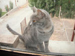 DSCF0570.jpg