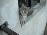 DSCF0603.jpg