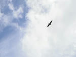 DSCF0633.jpg