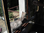 DSCF0811.jpg