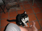 DSCF0903.jpg