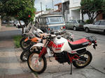 DSCF0915.jpg