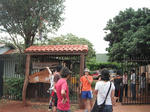 DSCF1107.jpg