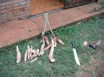 DSCF1159.jpg