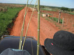 DSCF1298.jpg