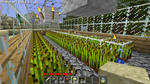 2011-03-21_05.58.46.jpg
