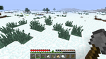 2011-12-16_06.10.49.png