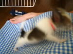 IMG_2933.JPG