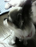 Image066.jpg