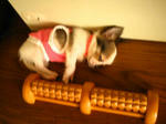 IMG_2968.JPG